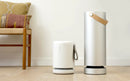 Molekule Air Purifier in a Home